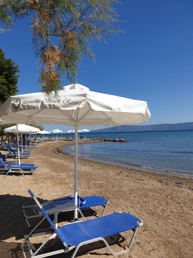 Holidays In Evia Beach Hotel (Adults Only) 埃雷特里亚 外观 照片